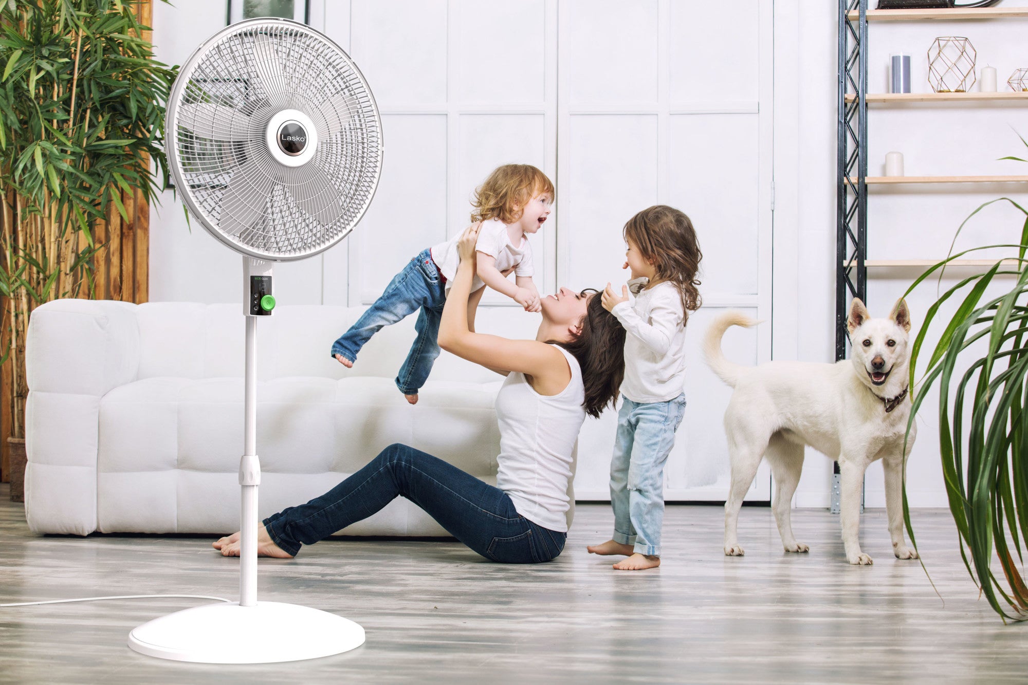 Lasko EcoQuiet 18 DC Pedestal Fan: Oscillating. 12-Speed. Remote. White - Image 14
